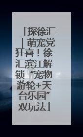 探徐汇｜萌宠党狂喜！徐汇滨江解锁“宠物游轮+天台乐园”双玩法