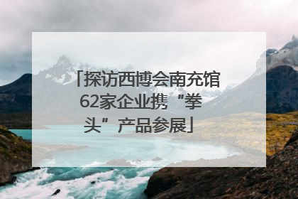 探访西博会南充馆 62家企业携“拳头”产品参展
