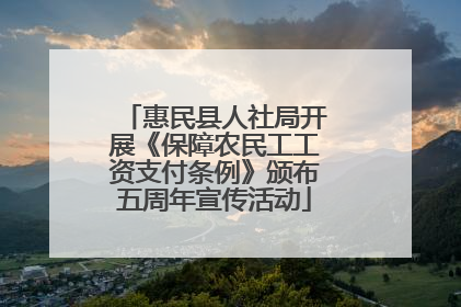 惠民县人社局开展《保障农民工工资支付条例》颁布五周年宣传活动