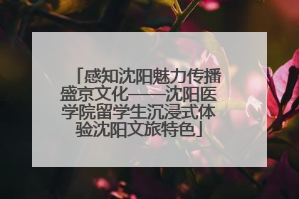 感知沈阳魅力传播盛京文化——沈阳医学院留学生沉浸式体验沈阳文旅特色