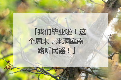 我们毕业啦！这个周末，来洞庭南路听民谣！