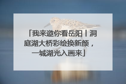 我来邀你看岳阳丨洞庭湖大桥彩绘换新颜，一城湖光入画来