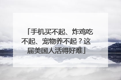 手机买不起、炸鸡吃不起、宠物养不起？这届美国人活得好难