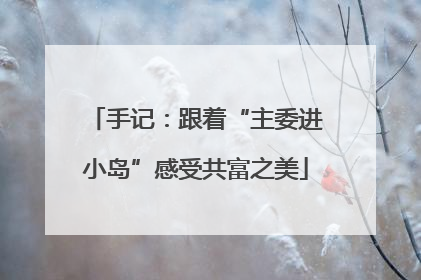 手记：跟着“主委进小岛”感受共富之美