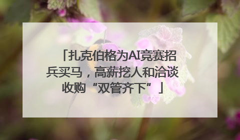 扎克伯格为AI竞赛招兵买马，高薪挖人和洽谈收购“双管齐下”