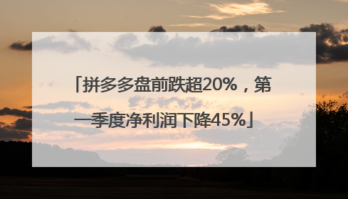 拼多多盘前跌超20%，第一季度净利润下降45%