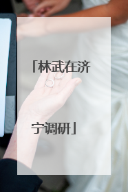 林武在济宁调研
