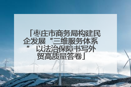 枣庄市商务局构建民企发展“三维服务体系” 以法治保障书写外贸高质量答卷