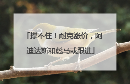 撑不住！耐克涨价，阿迪达斯和彪马或跟进