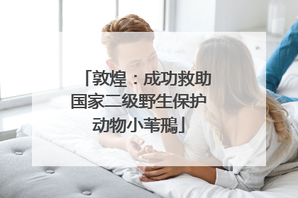 敦煌：成功救助国家二级野生保护动物小苇鳽