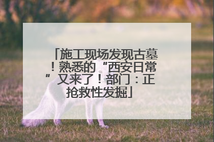 施工现场发现古墓！熟悉的“西安日常”又来了！部门：正抢救性发掘