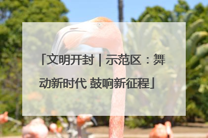 文明开封｜示范区：舞动新时代 鼓响新征程