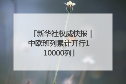 新华社权威快报｜中欧班列累计开行110000列