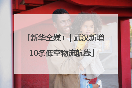 新华全媒+｜武汉新增10条低空物流航线