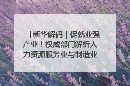 新华解码｜促就业强产业！权威部门解析人力资源服务业与制造业融合发展试点