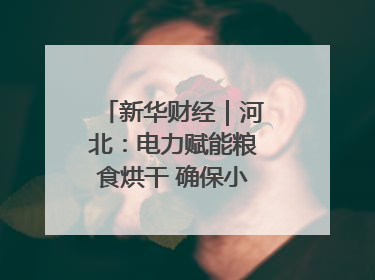 新华财经｜河北：电力赋能粮食烘干 确保小麦高质量归仓