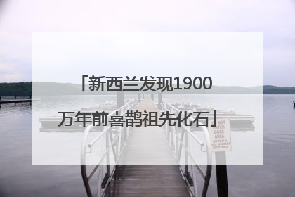 新西兰发现1900万年前喜鹊祖先化石