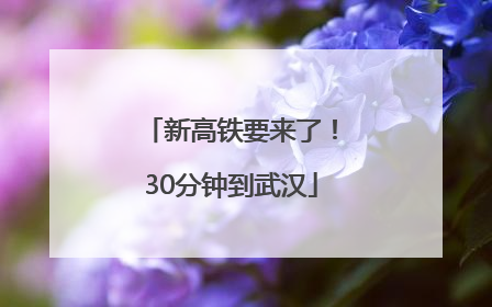 新高铁要来了！30分钟到武汉