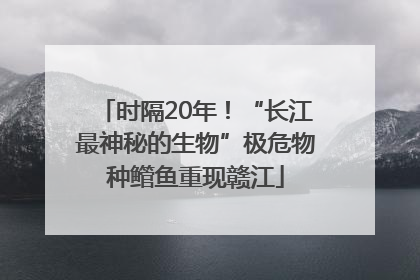 时隔20年！“长江最神秘的生物”极危物种鳤鱼重现赣江