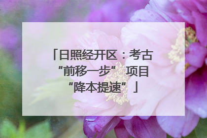 日照经开区：考古“前移一步” 项目“降本提速”