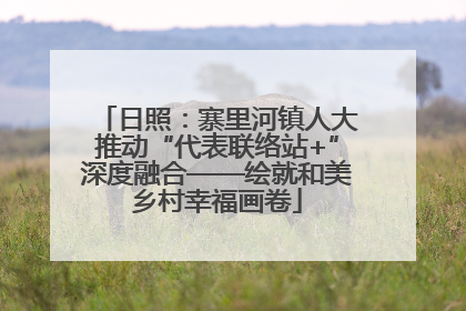 日照：寨里河镇人大推动“代表联络站+”深度融合——绘就和美乡村幸福画卷