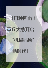 日种四亩！章丘大葱开启“机械插秧”新时代