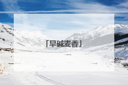 旱碱麦香