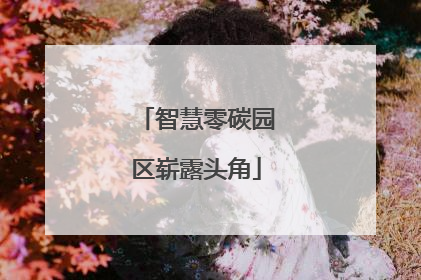 智慧零碳园区崭露头角