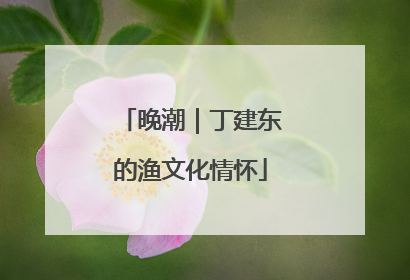 晚潮｜丁建东的渔文化情怀