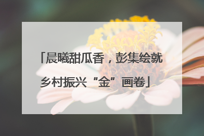 晨曦甜瓜香，彭集绘就乡村振兴“金”画卷