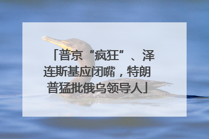 普京“疯狂”、泽连斯基应闭嘴，特朗普猛批俄乌领导人