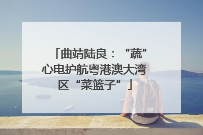 曲靖陆良：“蔬”心电护航粤港澳大湾区“菜篮子”