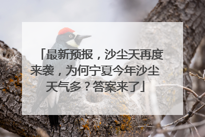 最新预报，沙尘天再度来袭，为何宁夏今年沙尘天气多？答案来了
