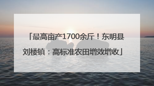 最高亩产1700余斤！东明县刘楼镇：高标准农田增效增收