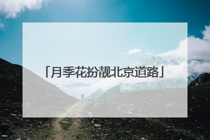 月季花扮靓北京道路