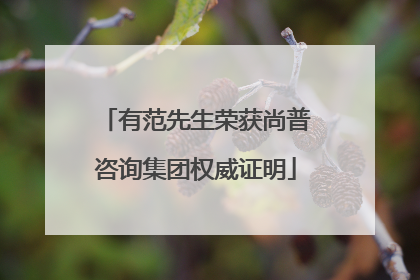 有范先生荣获尚普咨询集团权威证明