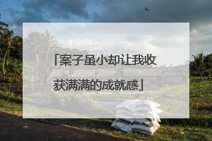 案子虽小却让我收获满满的成就感