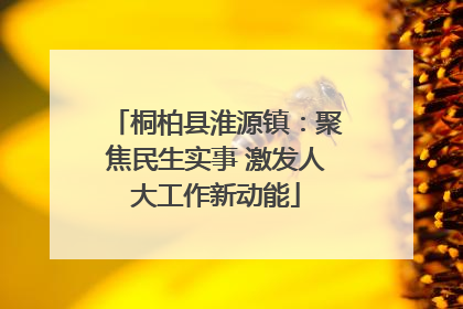 桐柏县淮源镇：聚焦民生实事 激发人大工作新动能