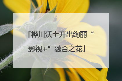 桦川沃土开出绚丽“影视+”融合之花