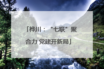 桦川：“七联”聚合力 党建开新局