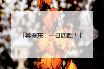 樊振东，一日四胜！