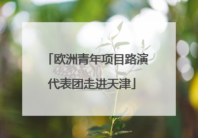 欧洲青年项目路演代表团走进天津