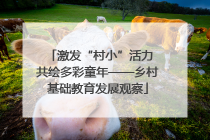 激发“村小”活力 共绘多彩童年——乡村基础教育发展观察