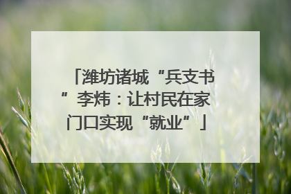 潍坊诸城“兵支书”李炜：让村民在家门口实现“就业”