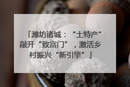 潍坊诸城：“土特产”敲开“致富门”，激活乡村振兴“新引擎”