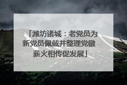 潍坊诸城：老党员为新党员佩戴并整理党徽 薪火相传促发展
