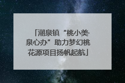 潮泉镇“桃小美·泉心办”助力梦幻桃花源项目扬帆起航