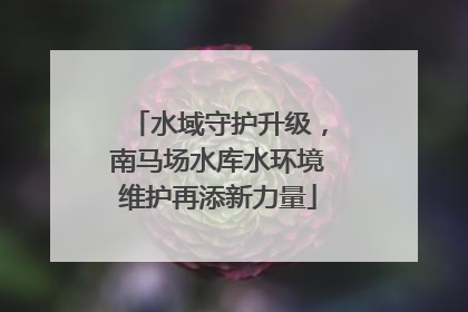 水域守护升级，南马场水库水环境维护再添新力量
