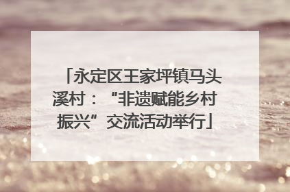 永定区王家坪镇马头溪村：“非遗赋能乡村振兴”交流活动举行