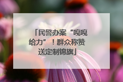 民警办案“嘎嘎给力”！群众称赞送定制锦旗